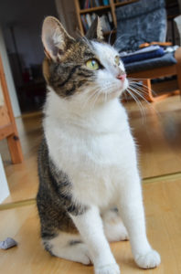 2018 10 05 Polly 2 Web 198x300